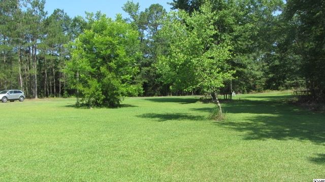 2207 Dows Road Loris, SC 29569 - Photo 5 of 20 Gallery Image 5
