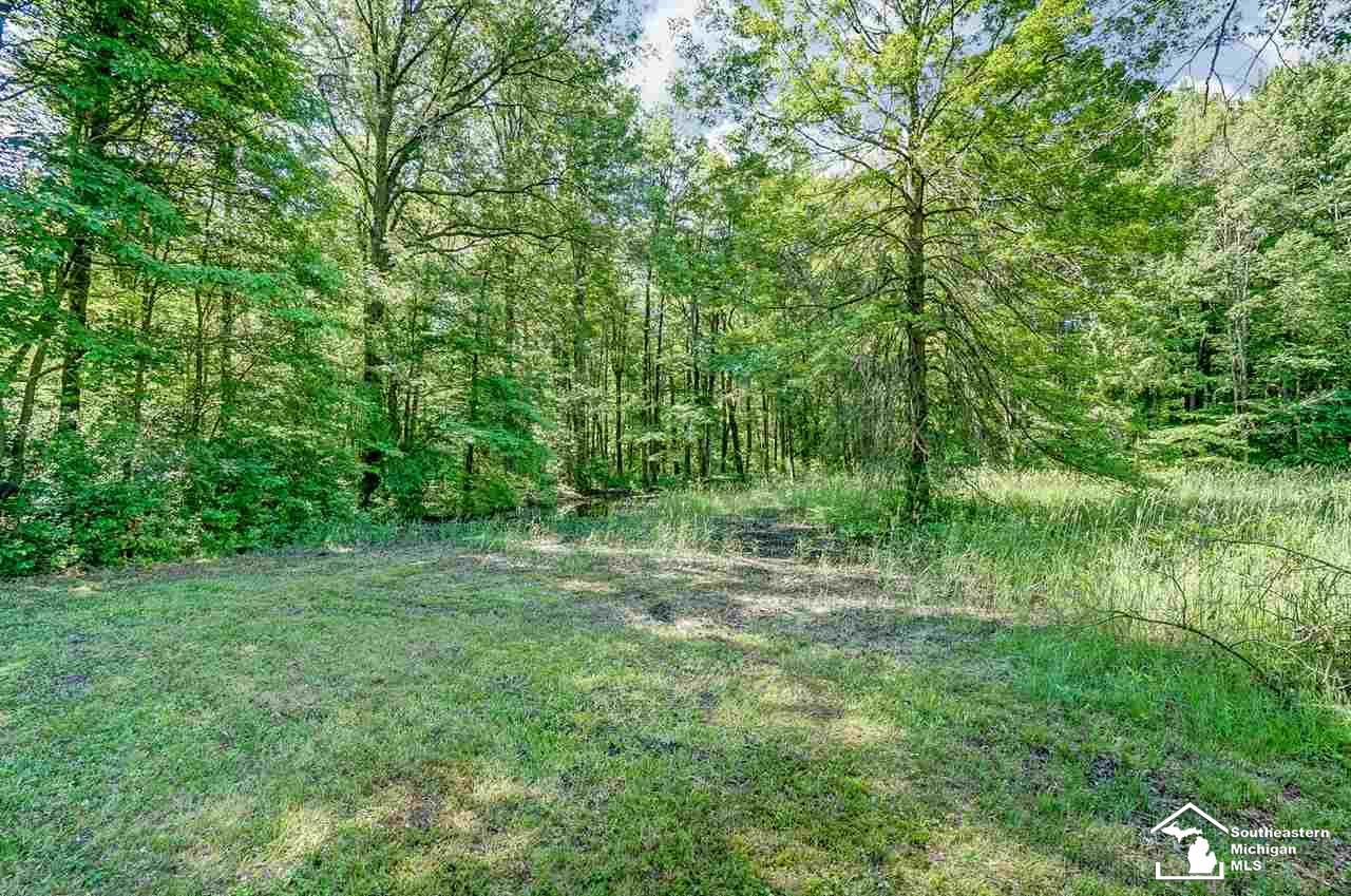 13367 Todd Road Ida, MI 48140 - Photo 40 of 40 50015068-39.JPG