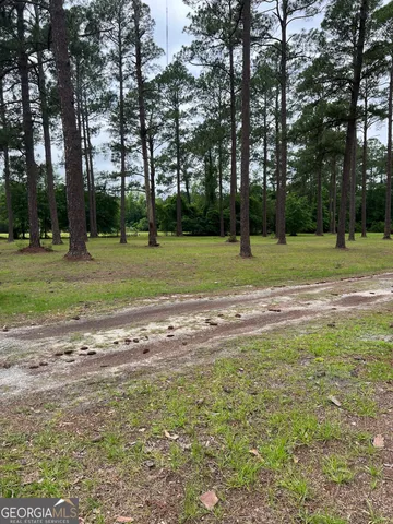 a view of a park with large trees