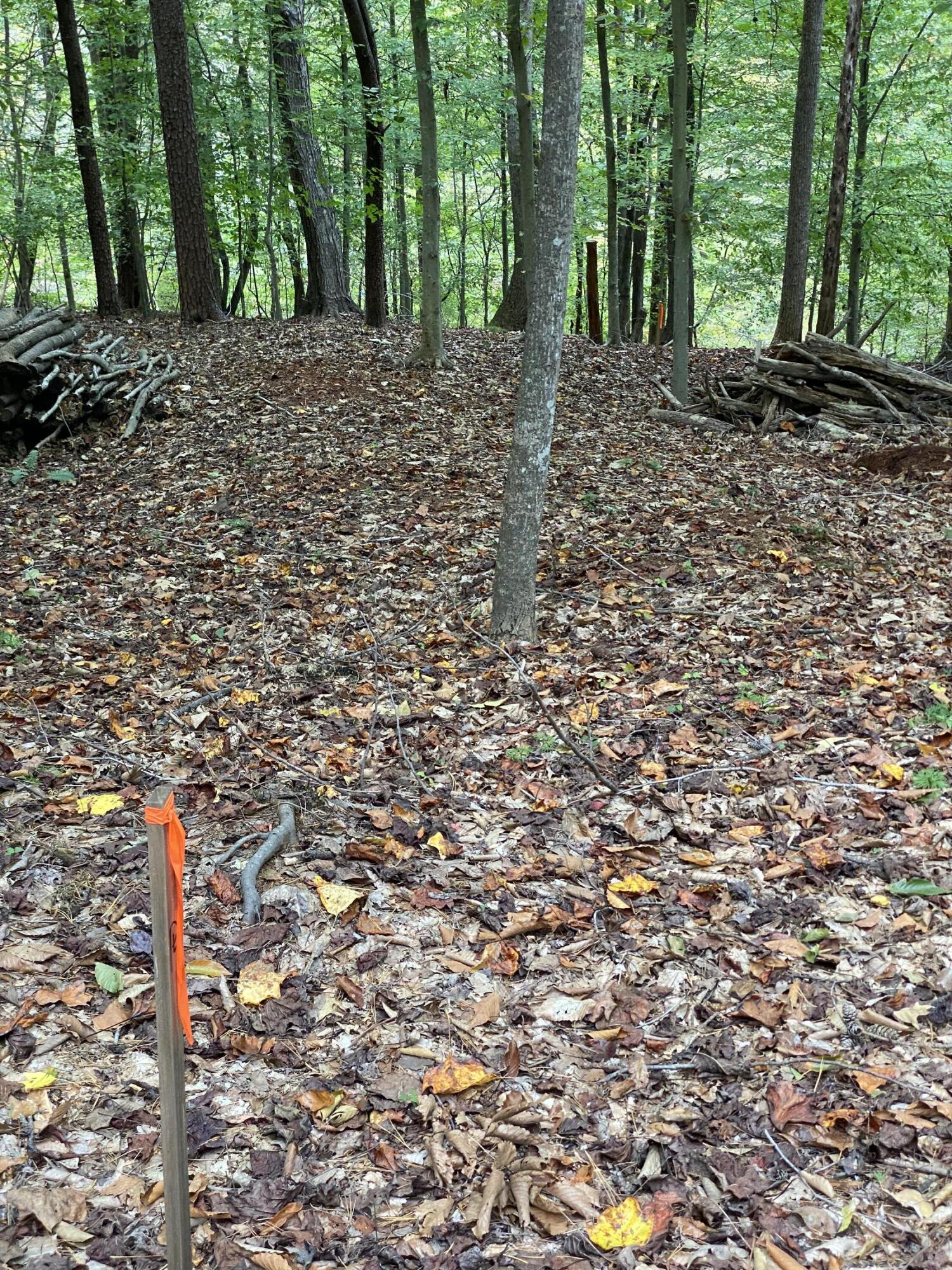 Lot 26 Gap Bridge Road Moneta, VA 24121 - Photo 3 of 20 a fire hydrant in the middle of a forest