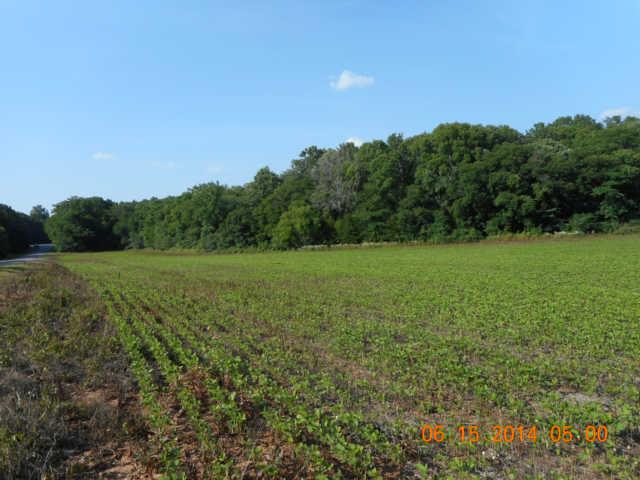 3 Arthur Sampson Road Lewisburg, TN 37091 - Photo 1 of 2 Gallery Image 1