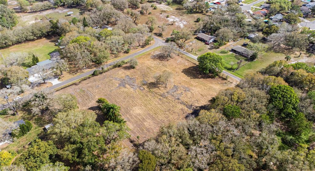 1206 Fisher Lane Brandon, FL 33510 - Photo 13 of 22 a view of a yard with plants
