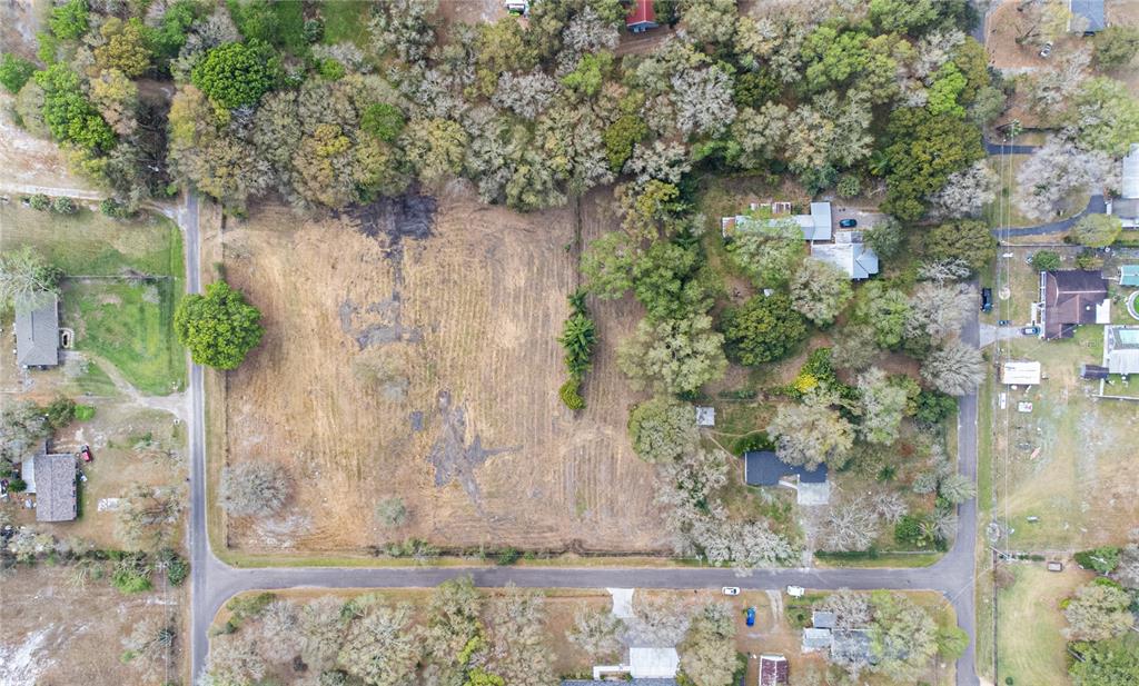 1206 Fisher Lane Brandon, FL 33510 - Photo 17 of 22 a view of a yard with plants and large trees