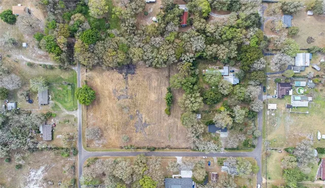 a view of a garden with a pathway