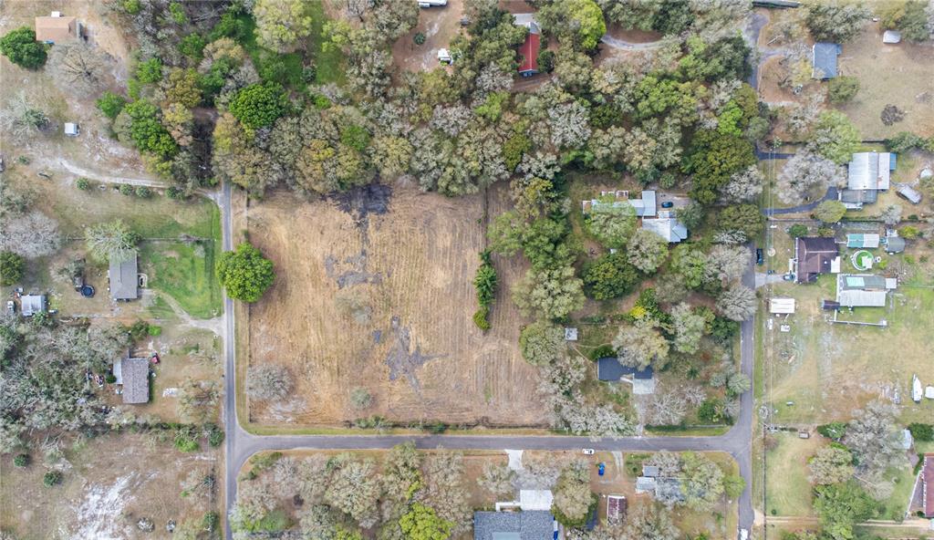 1206 Fisher Lane Brandon, FL 33510 - Photo 18 of 22 a view of a wooden wall with a tree