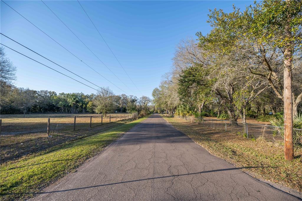 1206 Fisher Lane Brandon, FL 33510 - Photo 3 of 22 a view of street with a yard