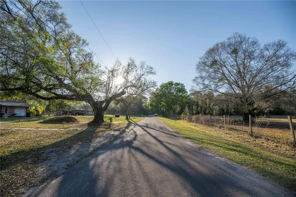 a view of a yard with plants and trees