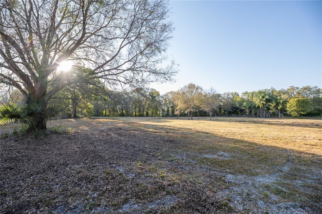 1206 Fisher Lane Brandon, FL 33510 - Photo 7 of 22 a view of outdoor space with deck and yard