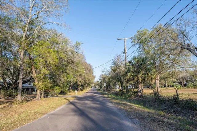 a view of a yard with plants and trees