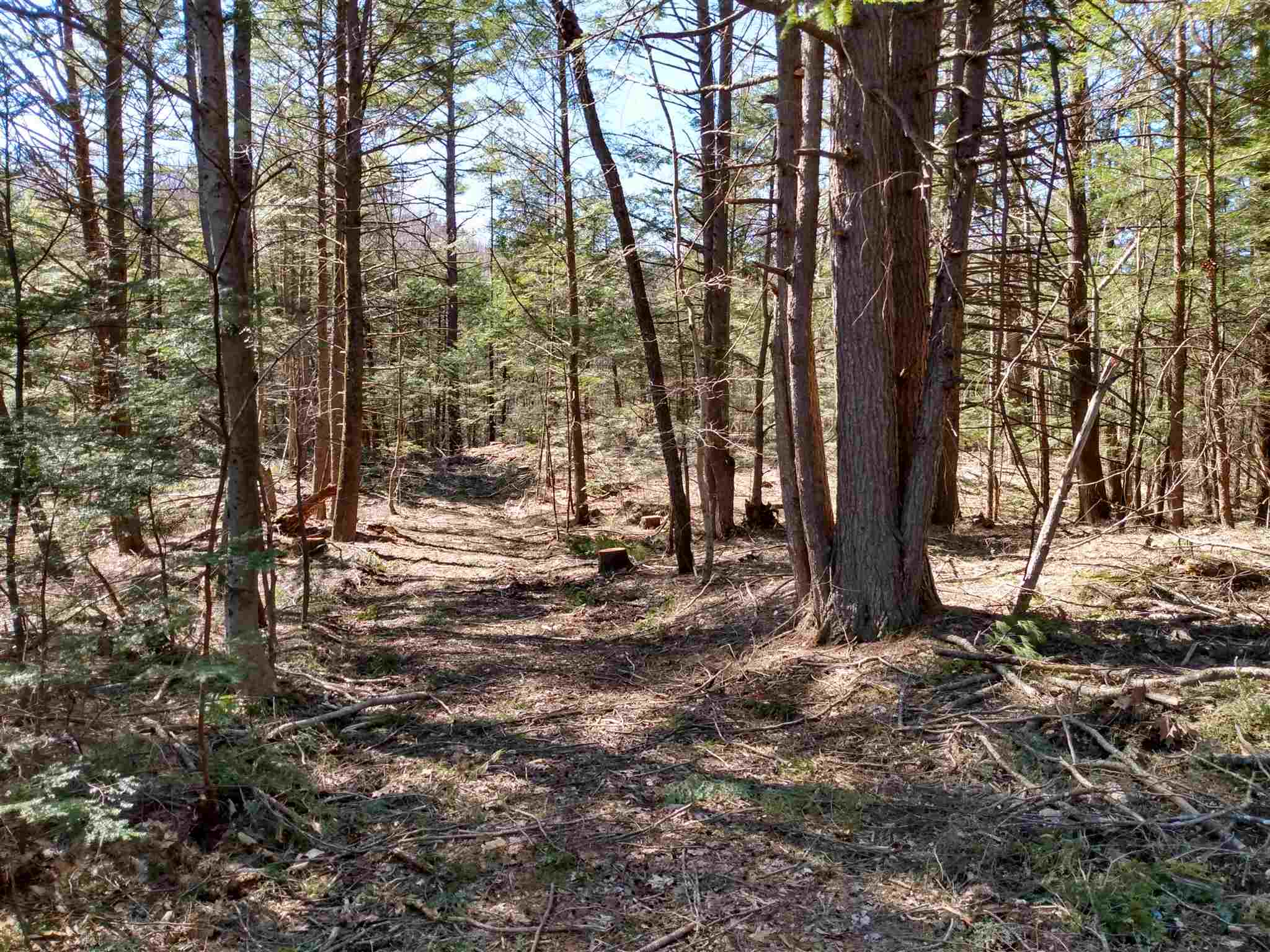 Lot 2-3 Private Road Spofford, NH 03462 - Photo 3 of 8 Gallery Image 3