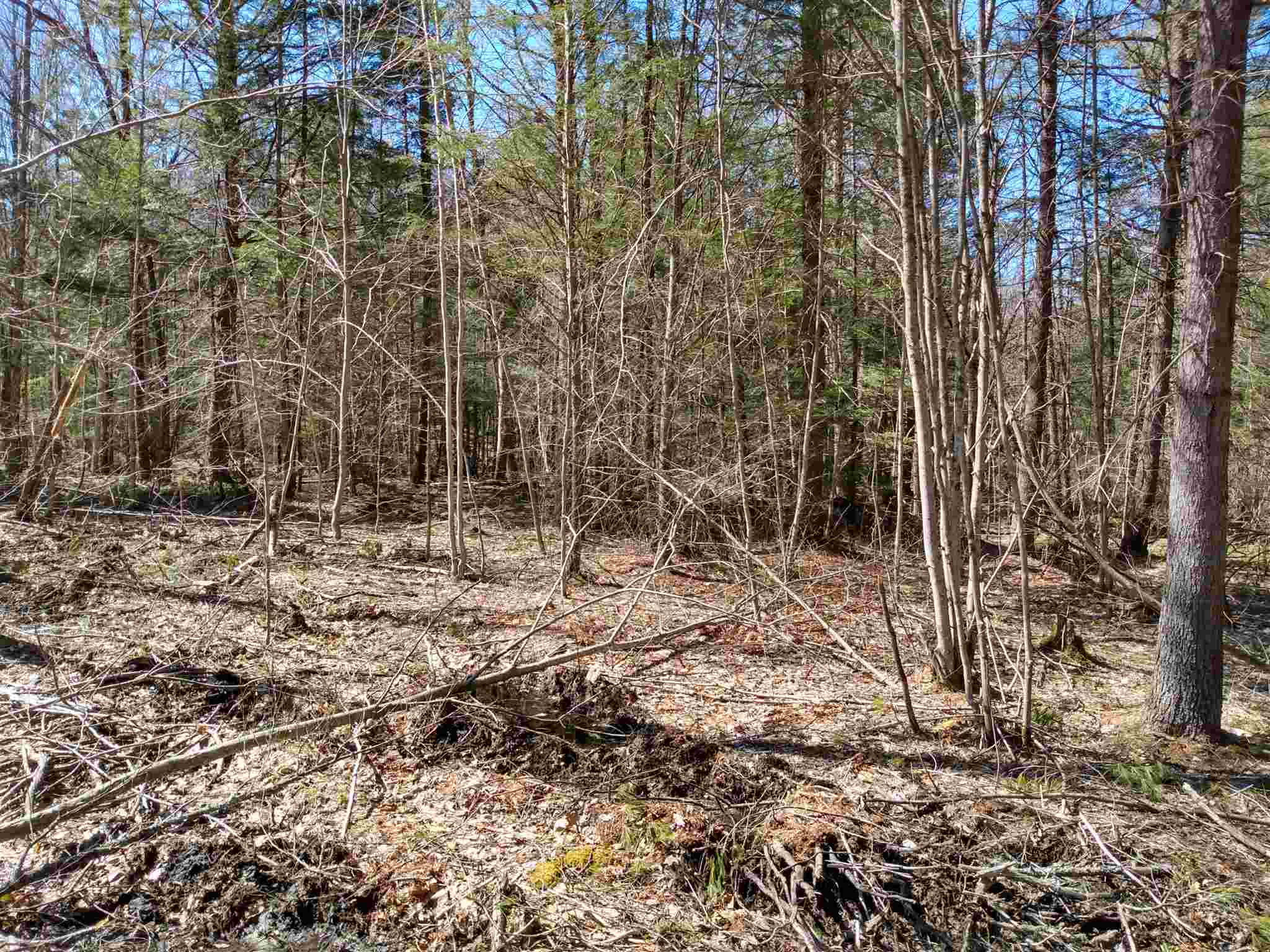 Lot 2-3 Private Road Spofford, NH 03462 - Photo 4 of 8 Gallery Image 4