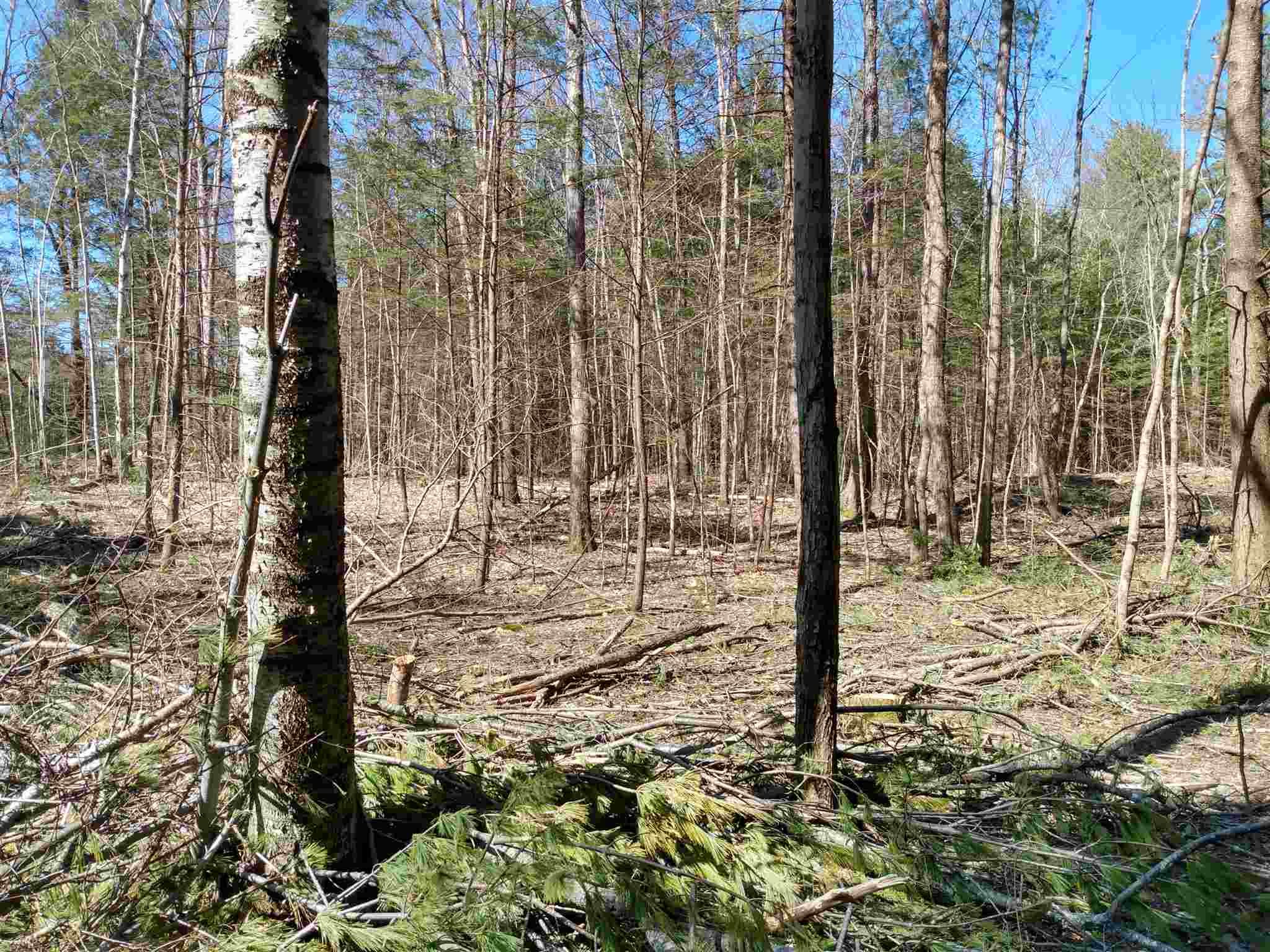 Lot 2-3 Private Road Spofford, NH 03462 - Photo 6 of 8 Gallery Image 6