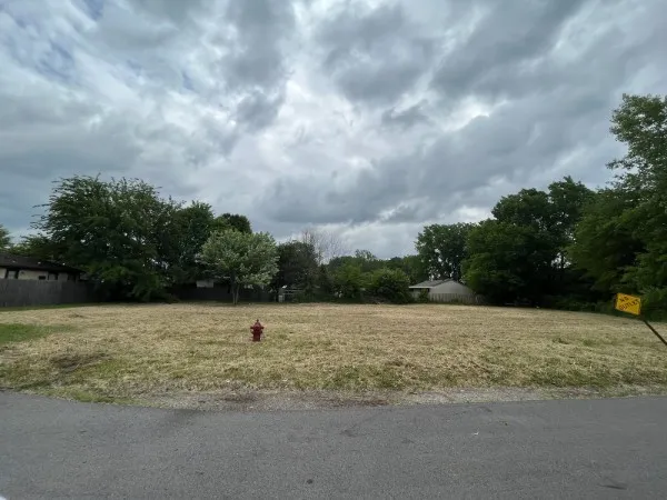 a view of a field with lots of trees in it