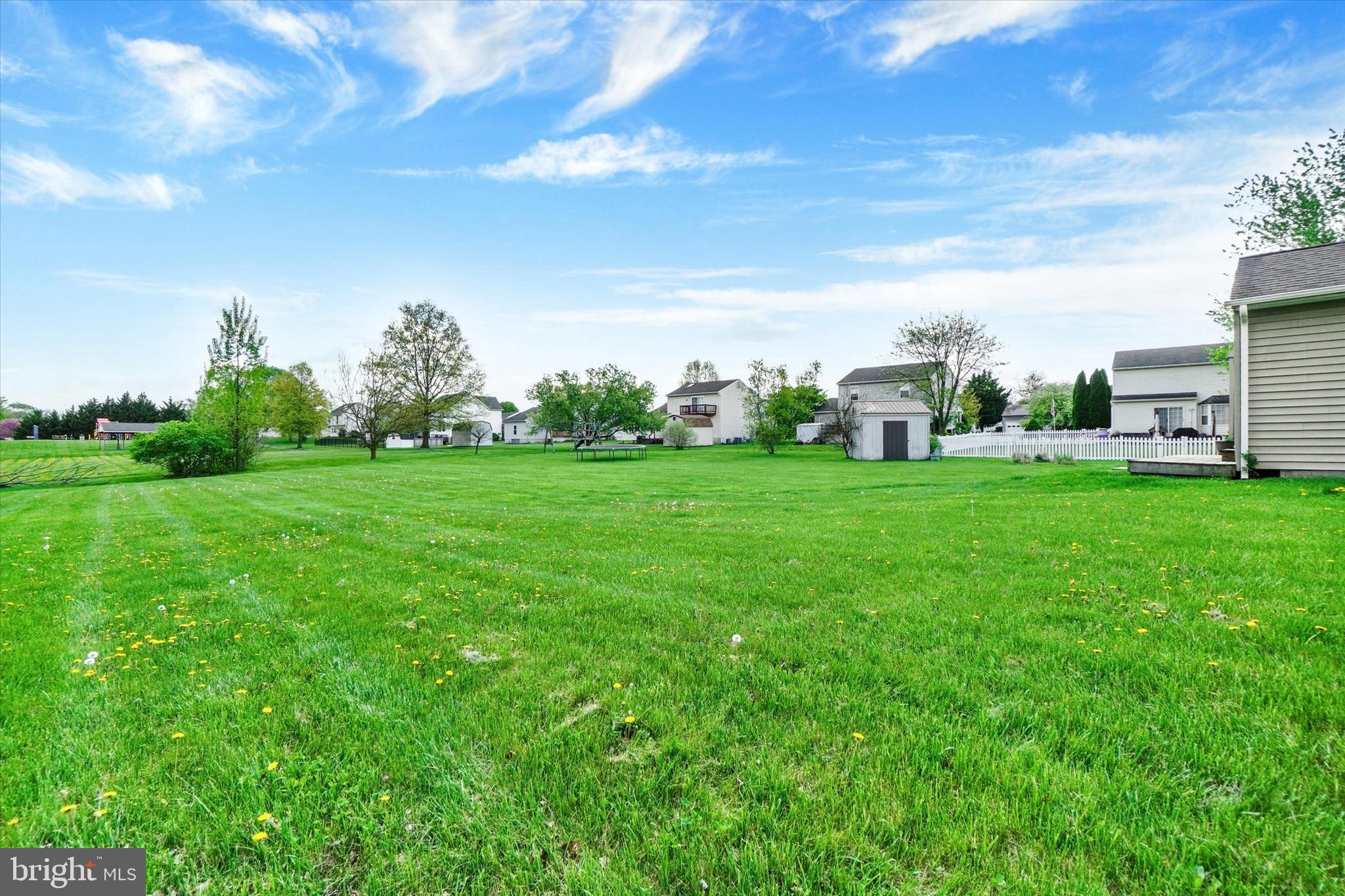 1190 Cherimoya Street York, PA 17404 - Photo 3 of 33 a view of a big yard with plants and large trees