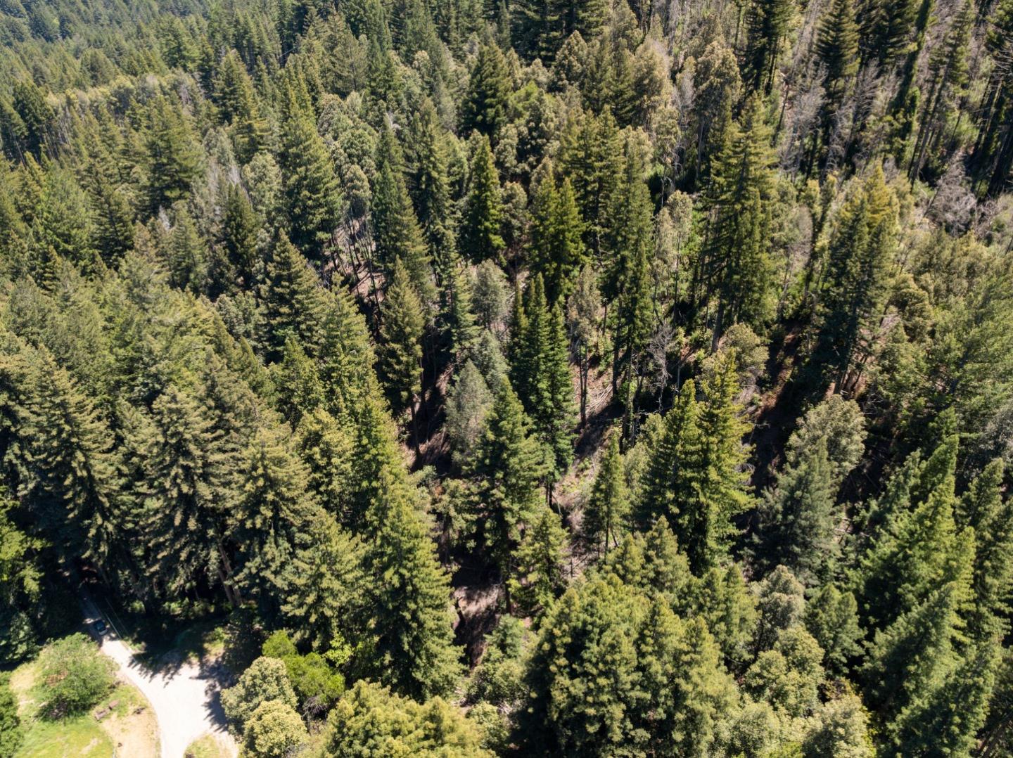Lot 17 Branson Ranch Boulder Creek, CA 95006 - Photo 38 of 45 a view of a tree