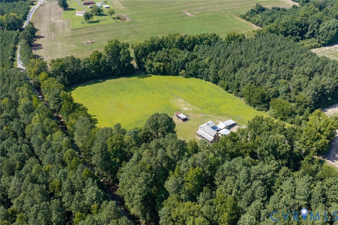 26081 Mason Road Jarratt, VA 23867 - Photo 40 of 49 Expansive wooded acreage featuring a cleared pastu