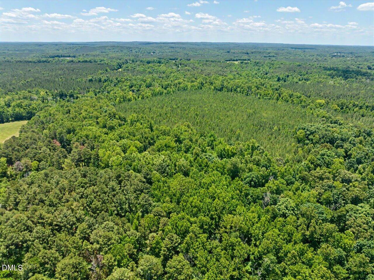 0 Russell Road Graham, NC 27253 - Photo 11 of 20