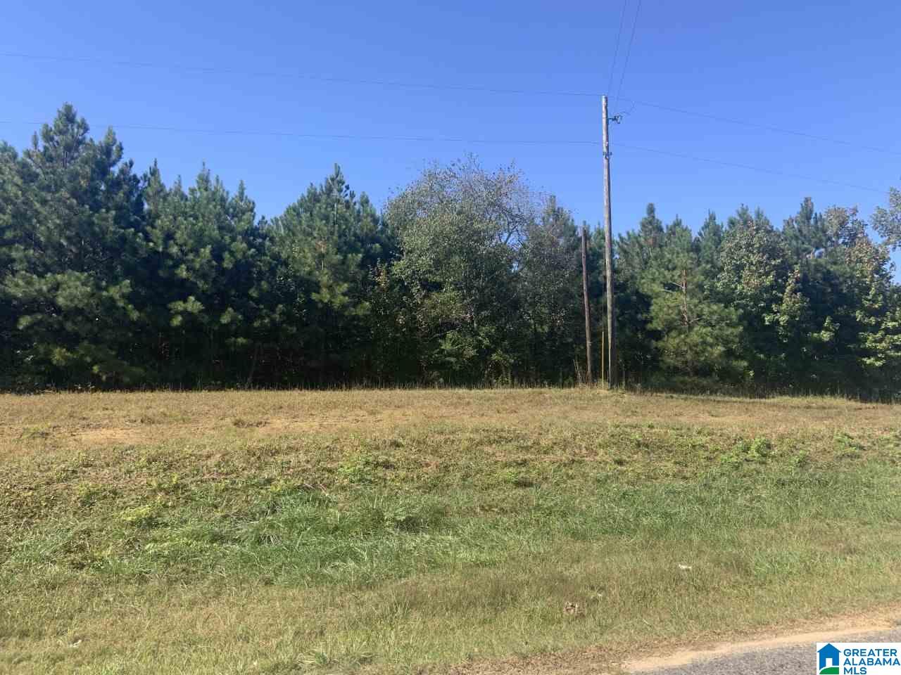 0 Mountainboro Road Boaz, AL 35956 - Photo 3 of 9 Gallery Image 3