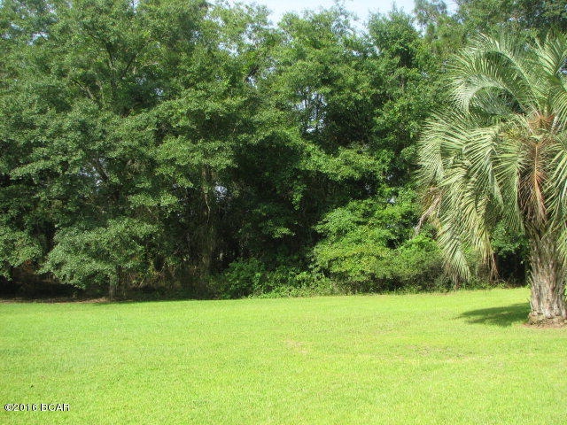 4266 Oak Grove Road Sneads, FL 32460 - Photo 25 of 25