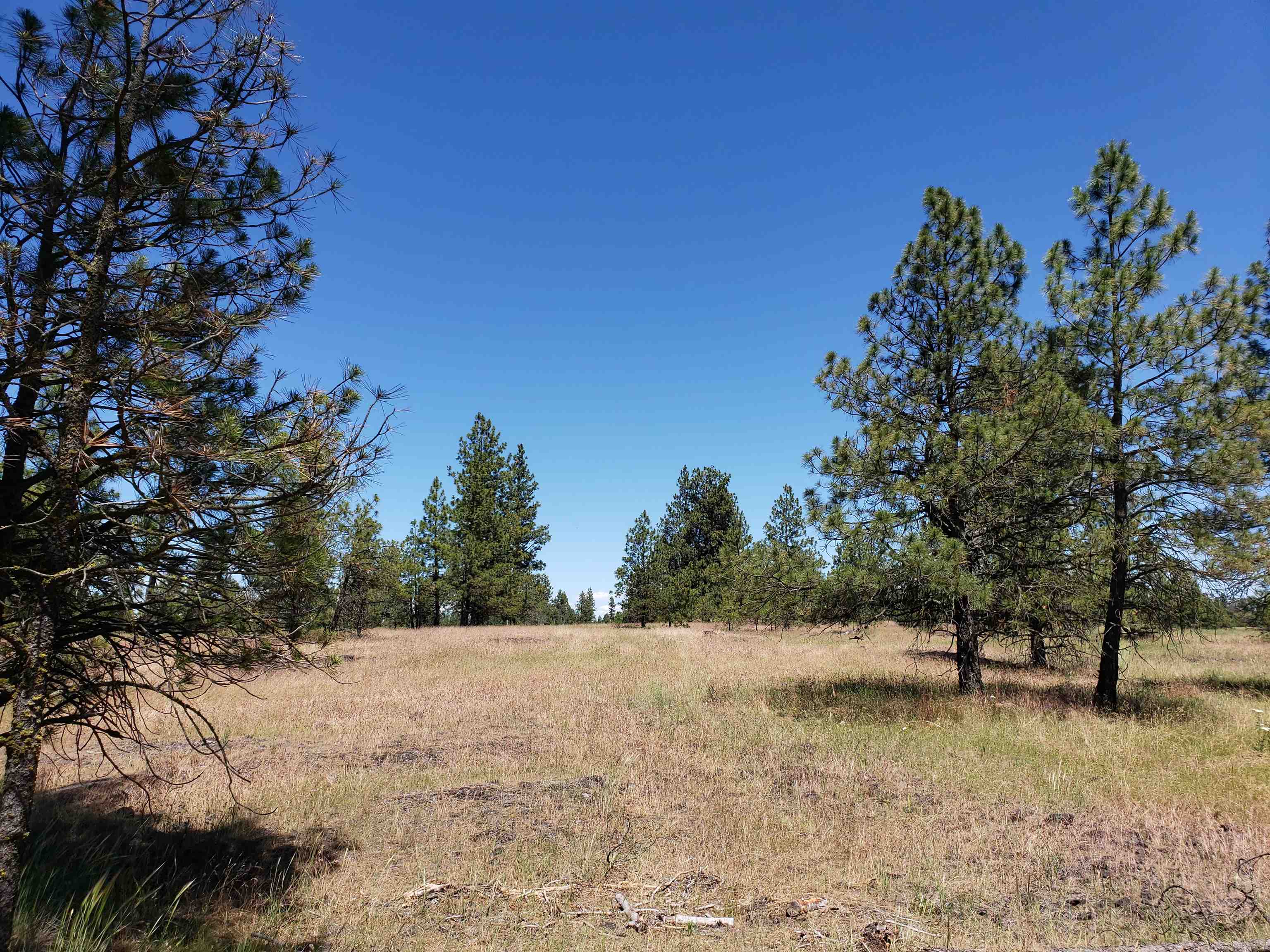 Xxxx West Baker Road, Unit LOT G Cheney, WA 99004 - Photo 1 of 4 Gallery Image 1