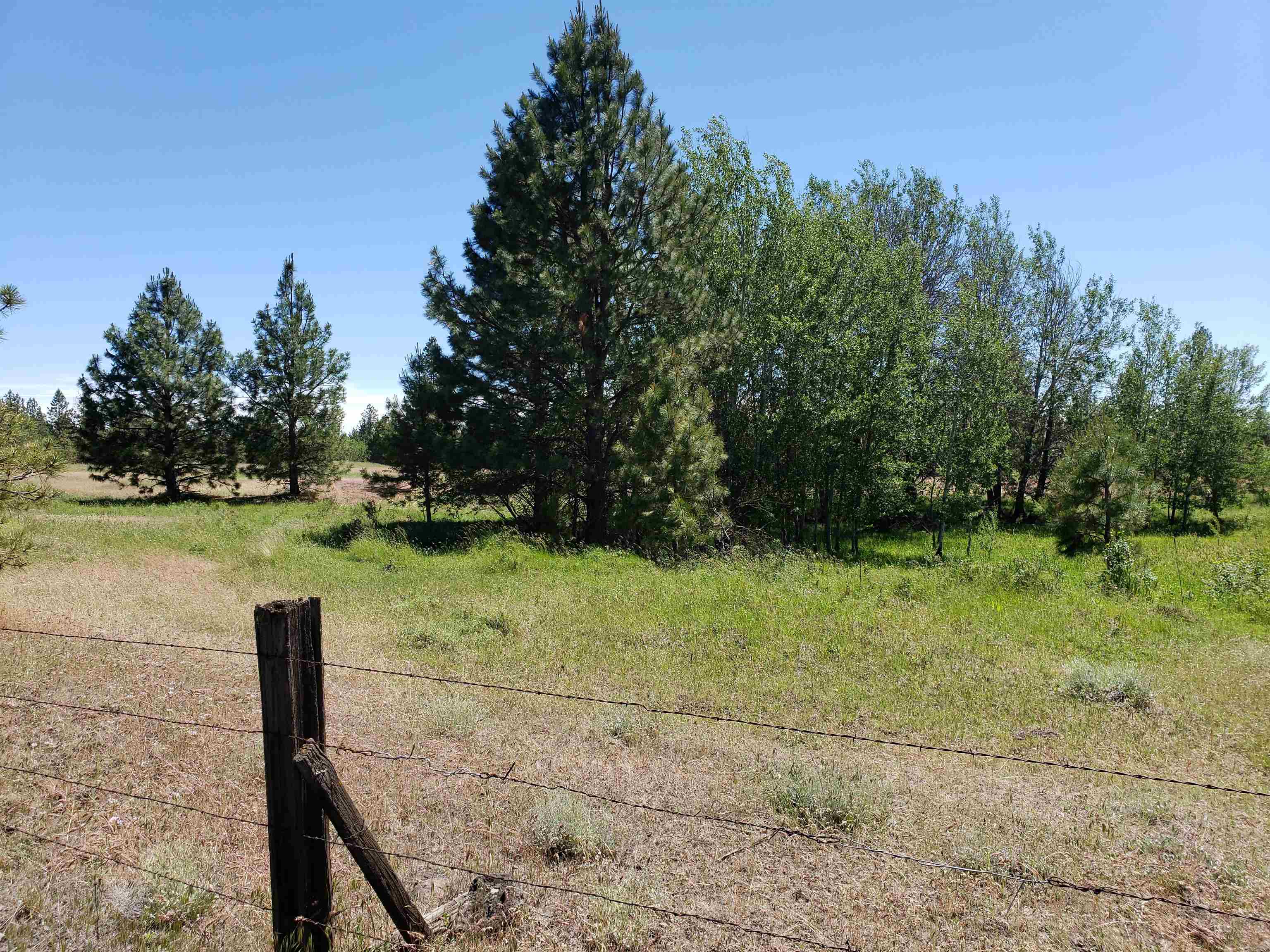 Xxxx West Baker Road, Unit LOT G Cheney, WA 99004 - Photo 4 of 4 Gallery Image 4