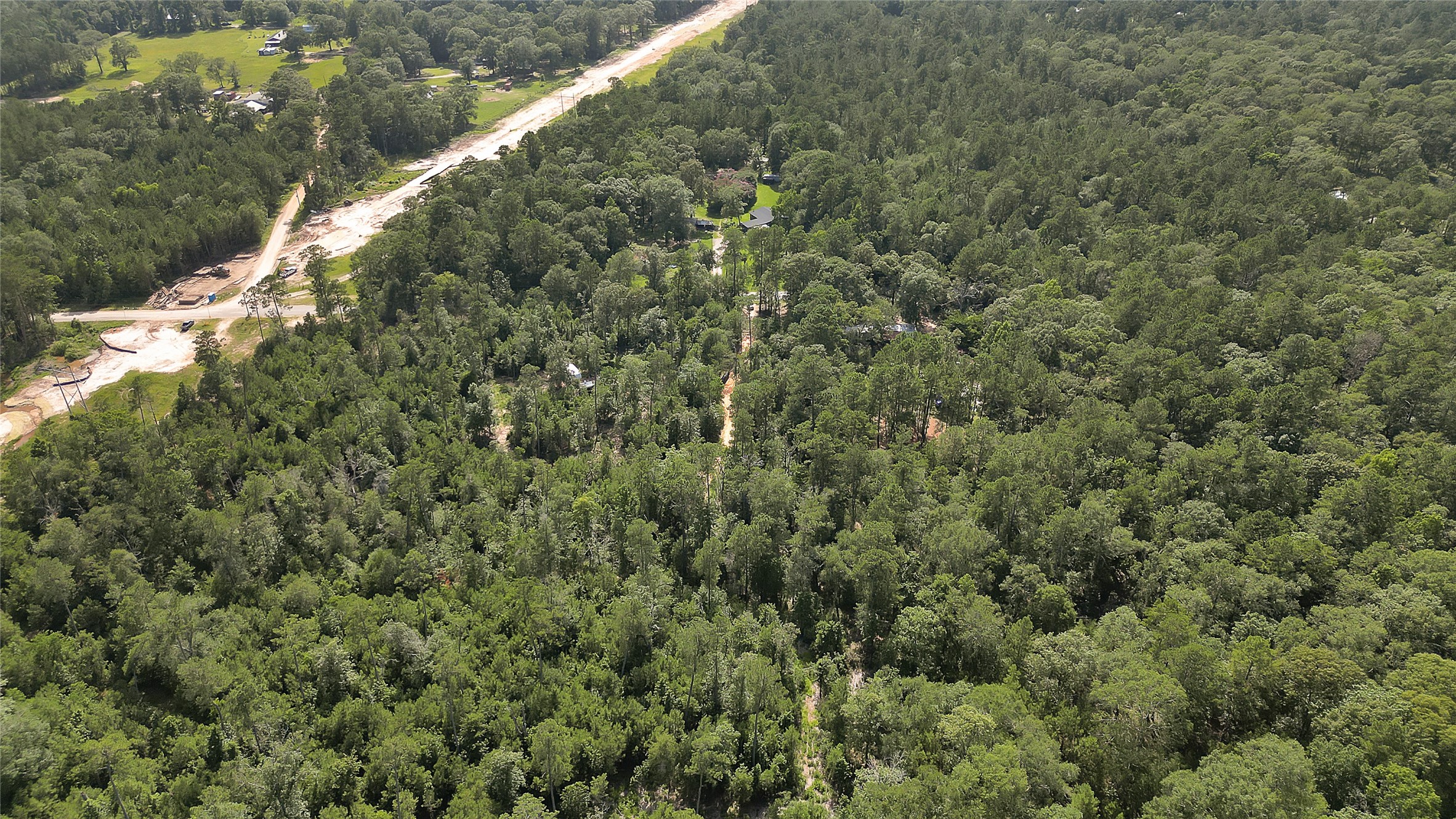 2161 Fostoria Tram Road Cleveland, TX 77328 - Photo 3 of 4 a view of a forest with a tree