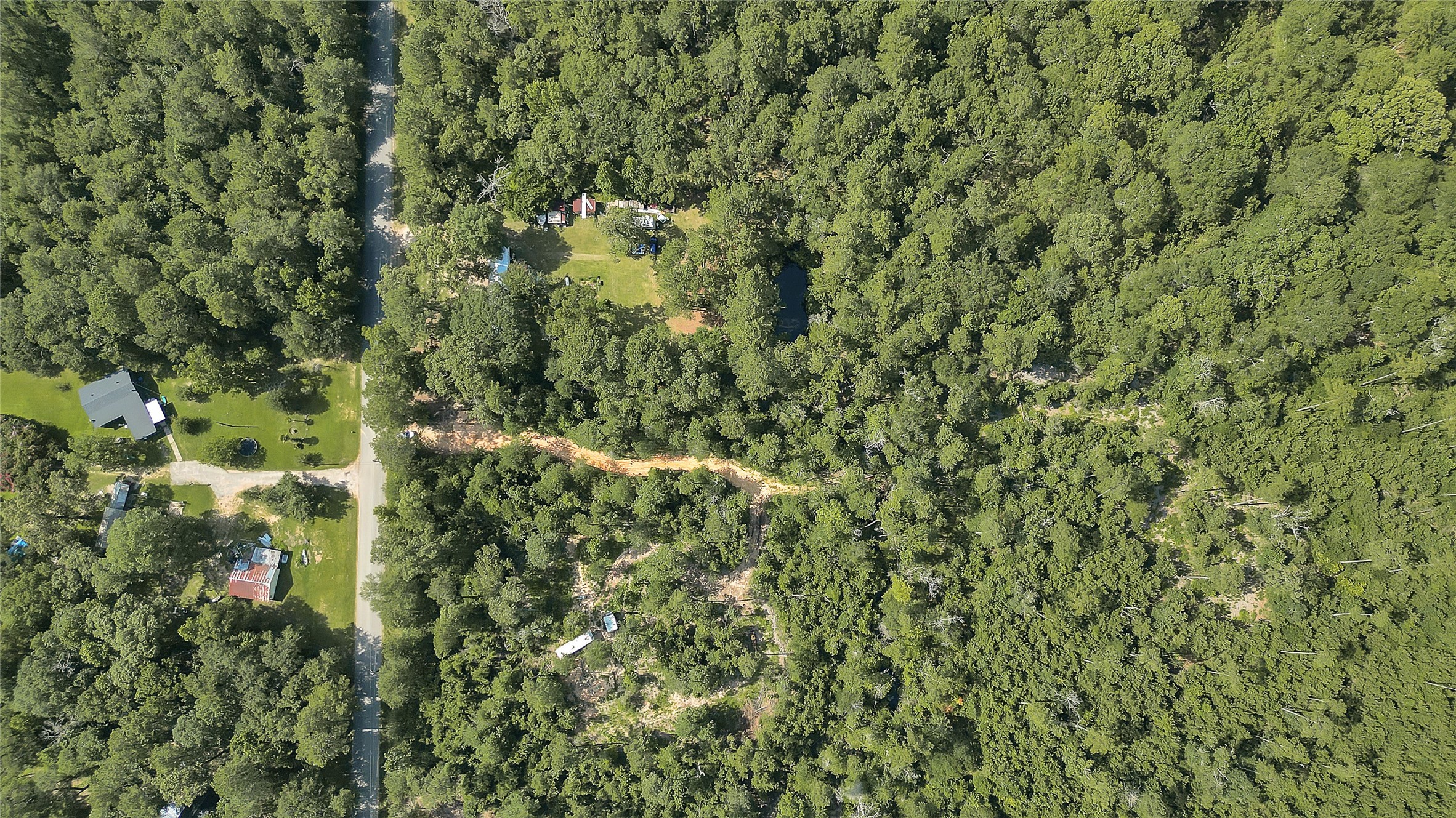 2161 Fostoria Tram Road Cleveland, TX 77328 - Photo 4 of 4 a view of a forest with a tree