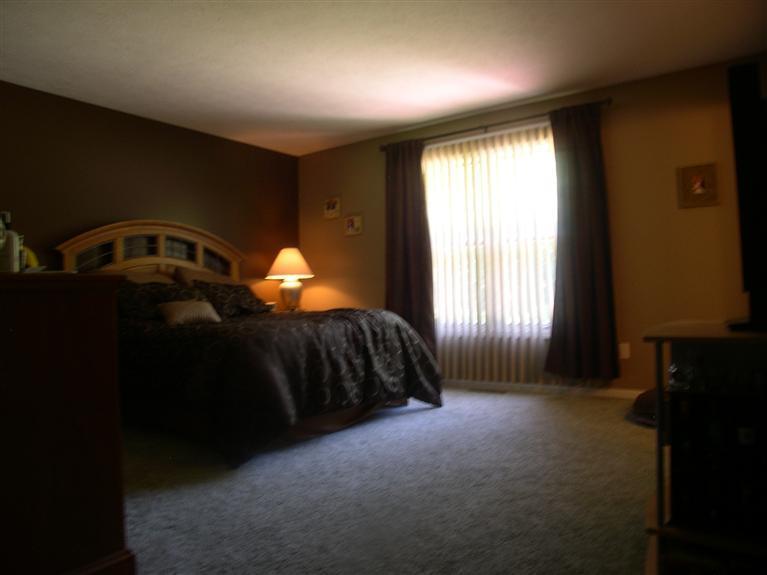 1212 West River Road Niles, MI 49120 - Photo 11 of 17 Additional Photo