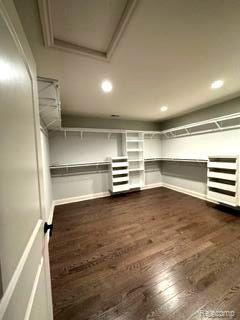 4798 Dow Ridge Road West Bloomfield, MI 48324 - Photo 36 of 82 Primary Bedroom Walking Closet