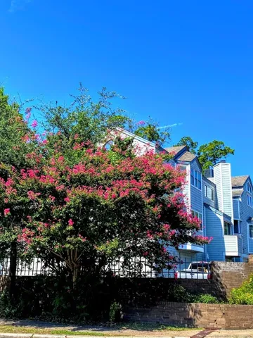 a flower plants and wooden fence