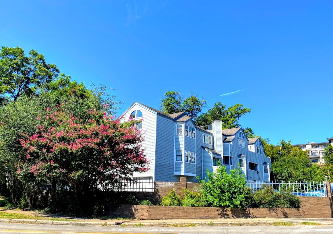 1808 Rio Grande Street, Unit 3 Austin, TX 78701 - Photo 21 of 29 a flower plants and wooden fence