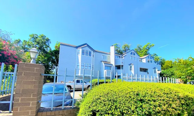 a view of a backyard with plants and a garden