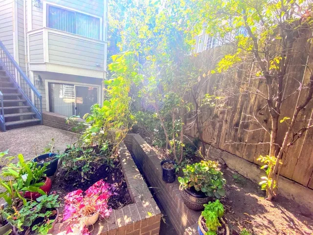 a wooden bench with some plants