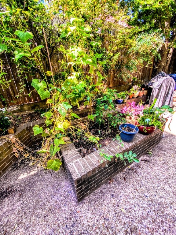 1808 Rio Grande Street, Unit 3 Austin, TX 78701 - Photo 28 of 29 a wooden bench with some plants