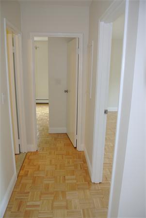 383 Langley Road, Unit 8 Newton, MA 02459 - Photo 8 of 17