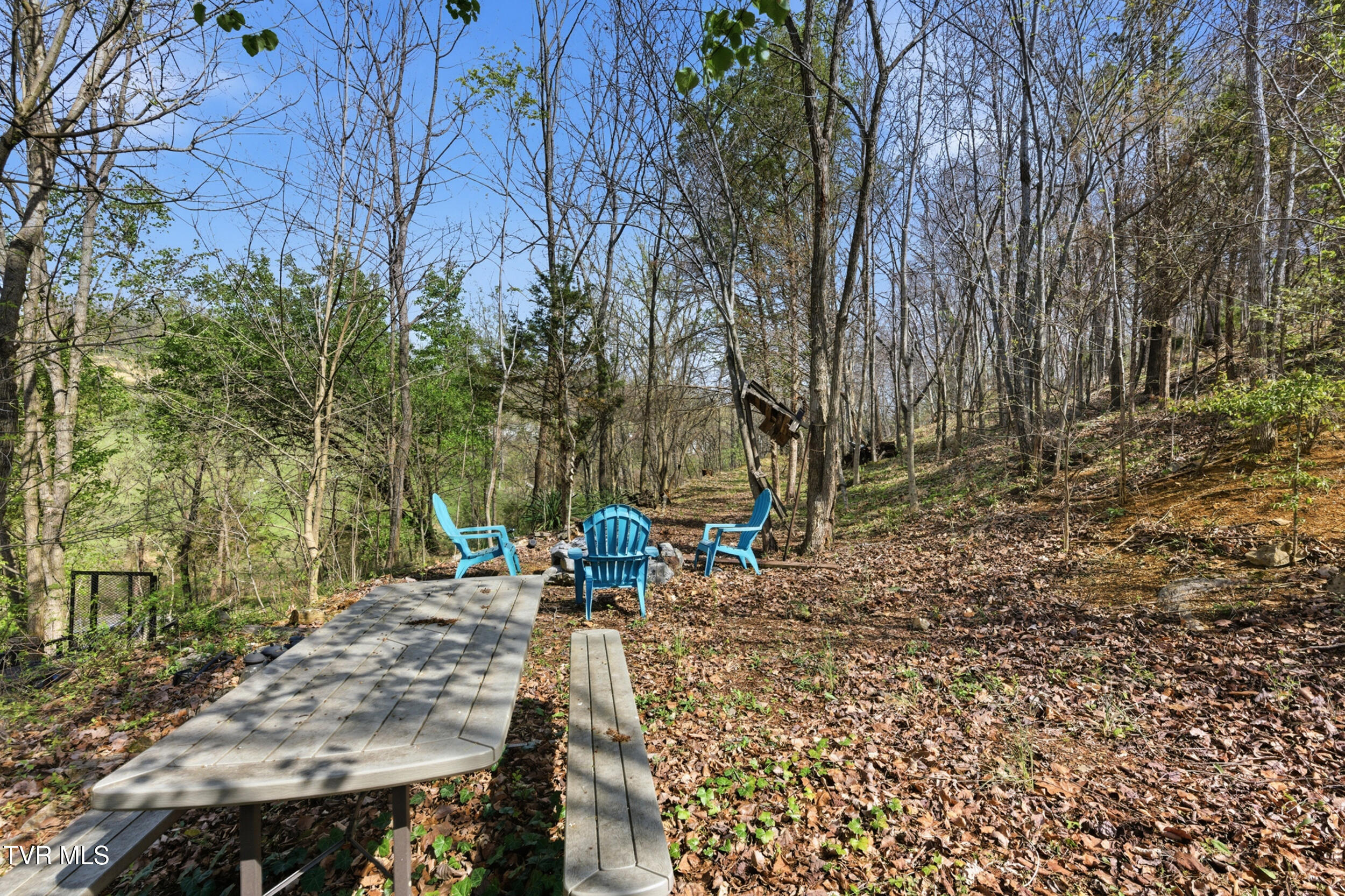 408 Lynn Road, Unit B Blountville, TN 37617 - Photo 33 of 38 dsc_8233