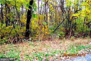 18 Oak Ridge Trail Fairfield, PA 17320 - Photo 5 of 5 Gallery Image 5