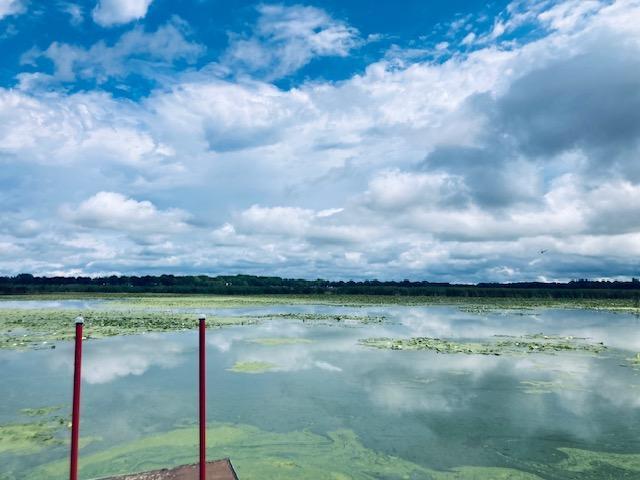 65254 365th Street Watkins, MN 55389 - Photo 17 of 43