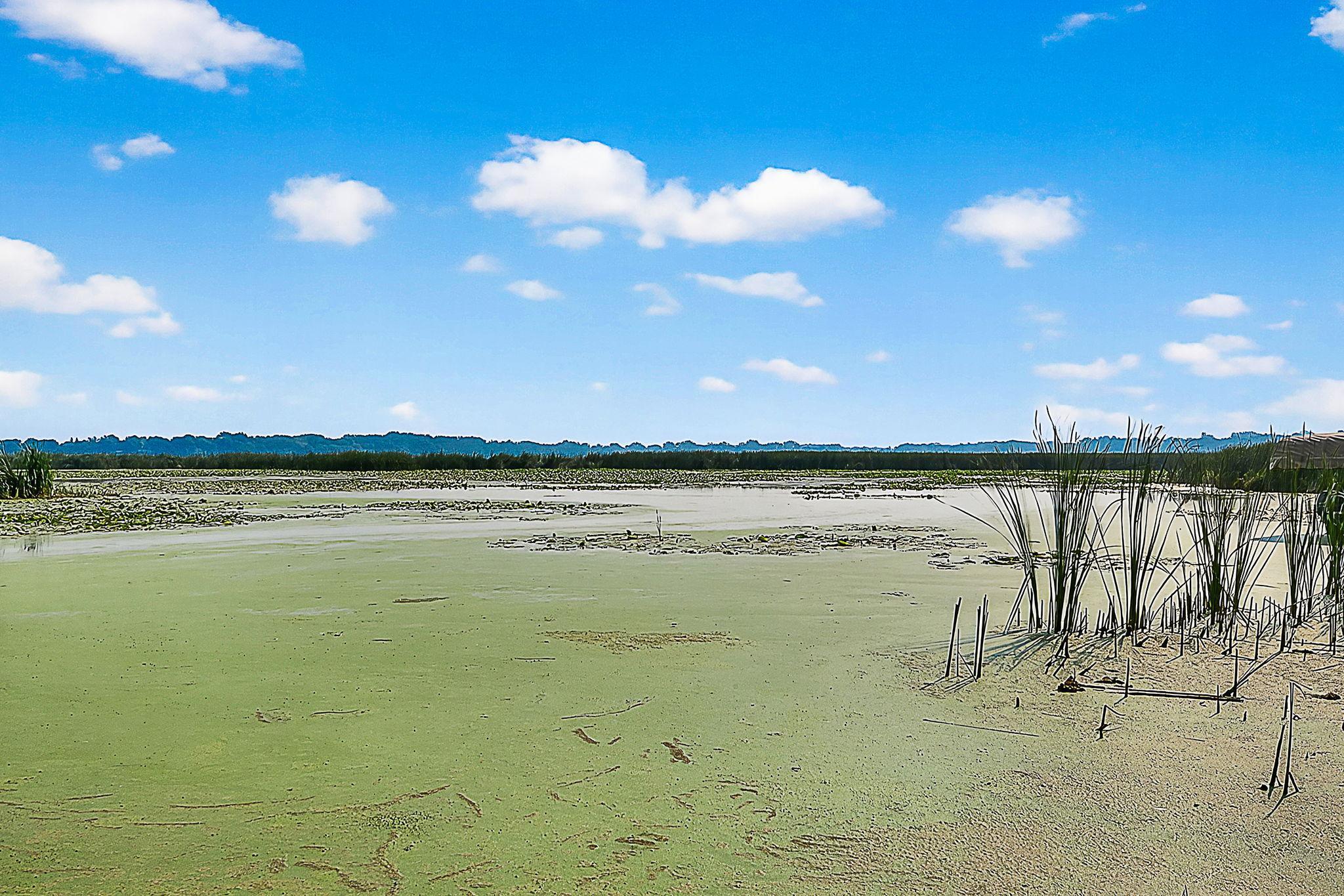 65254 365th Street Watkins, MN 55389 - Photo 21 of 43