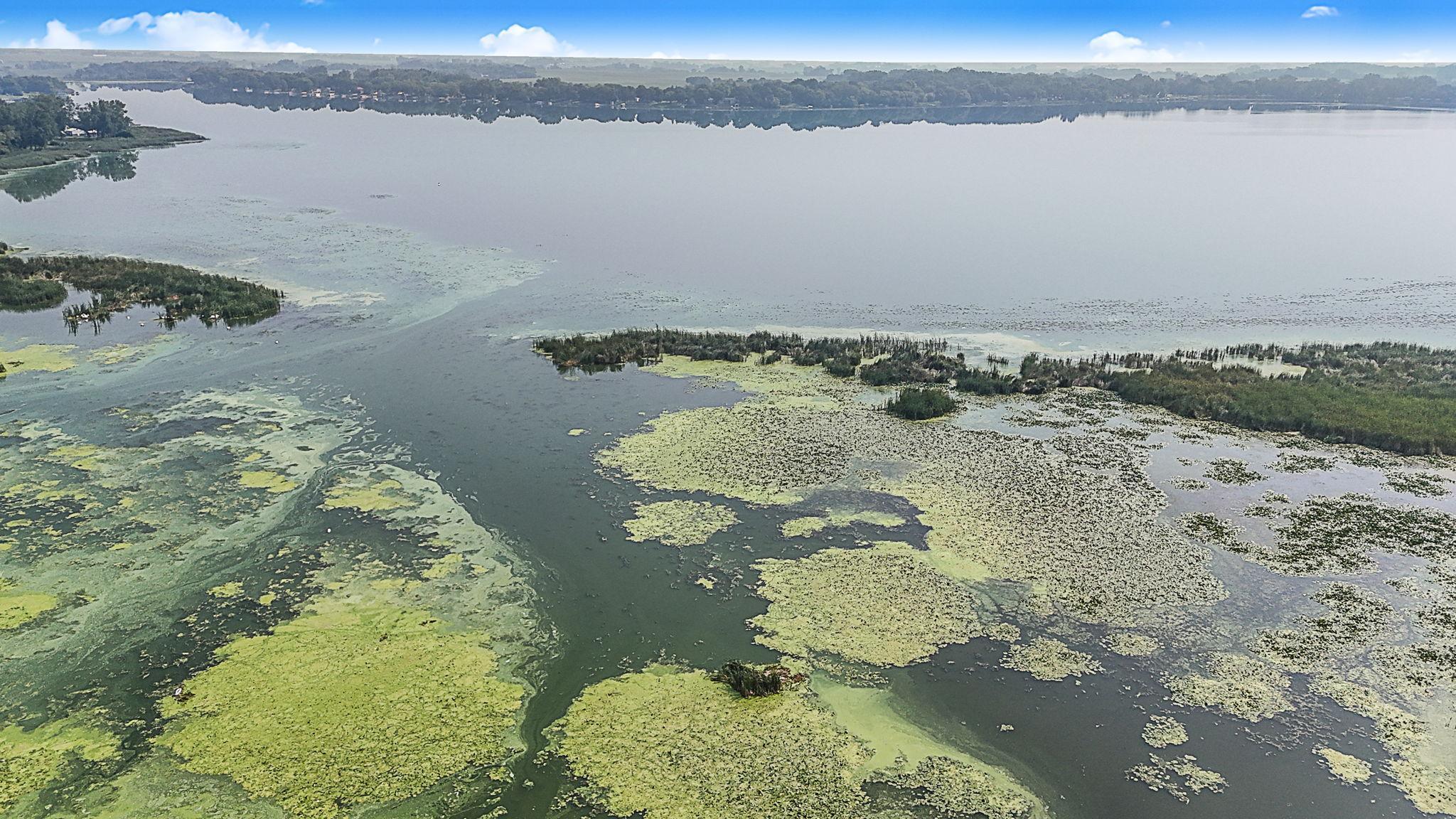 65254 365th Street Watkins, MN 55389 - Photo 26 of 43