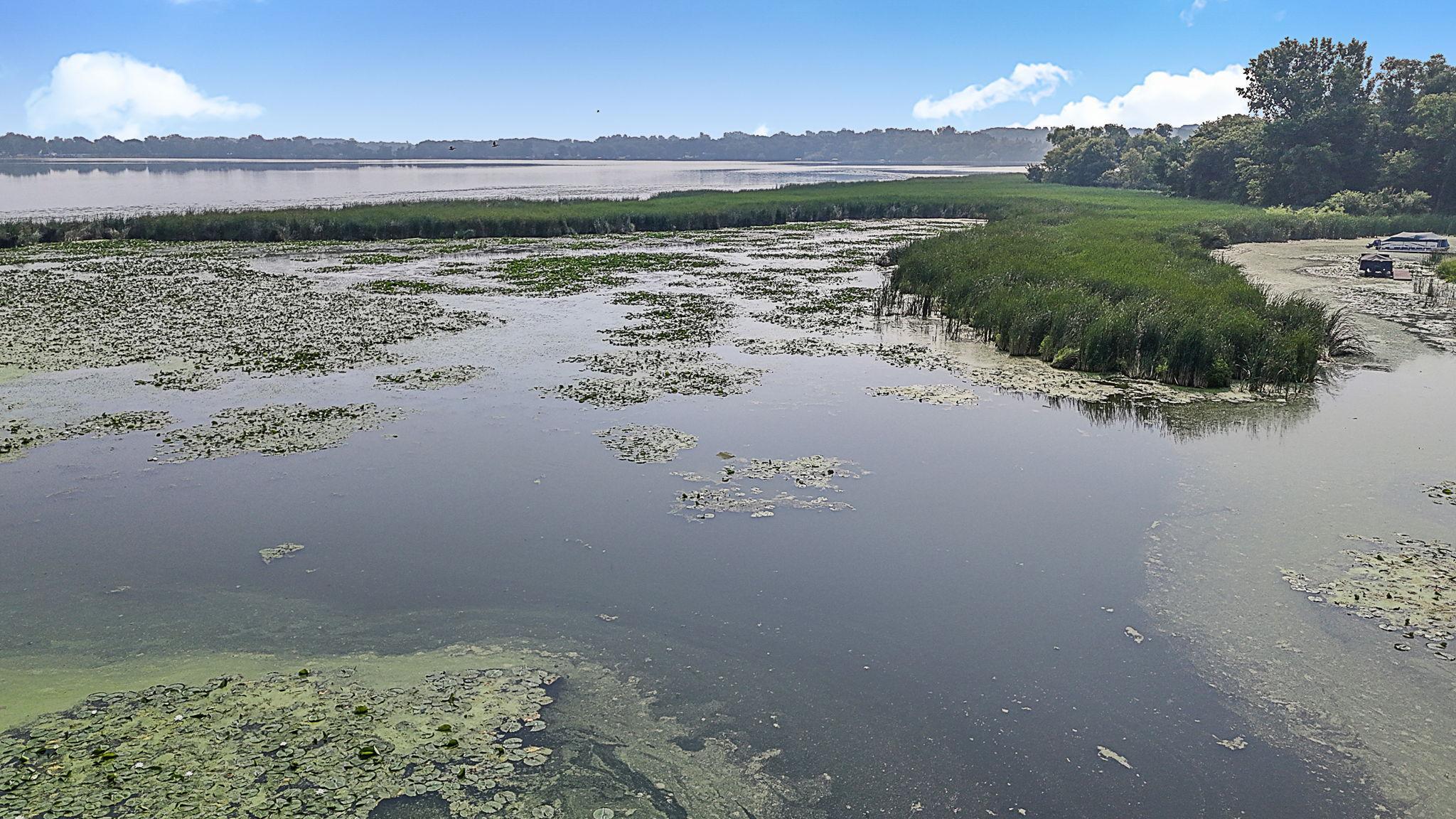 65254 365th Street Watkins, MN 55389 - Photo 37 of 43