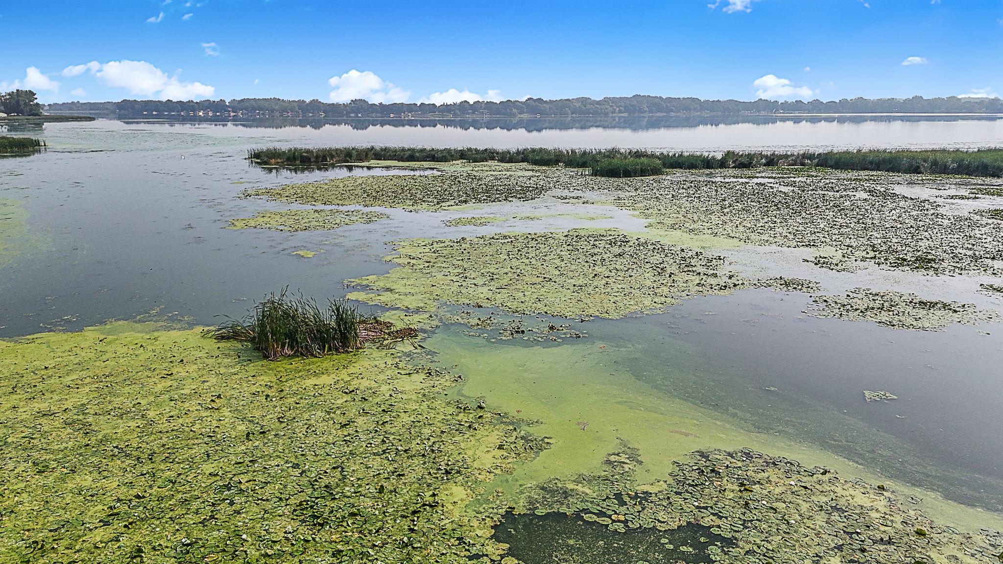 65254 365th Street Watkins, MN 55389 - Photo 38 of 43