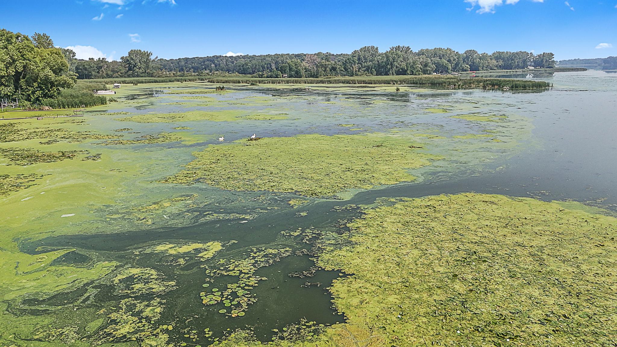 65254 365th Street Watkins, MN 55389 - Photo 39 of 43
