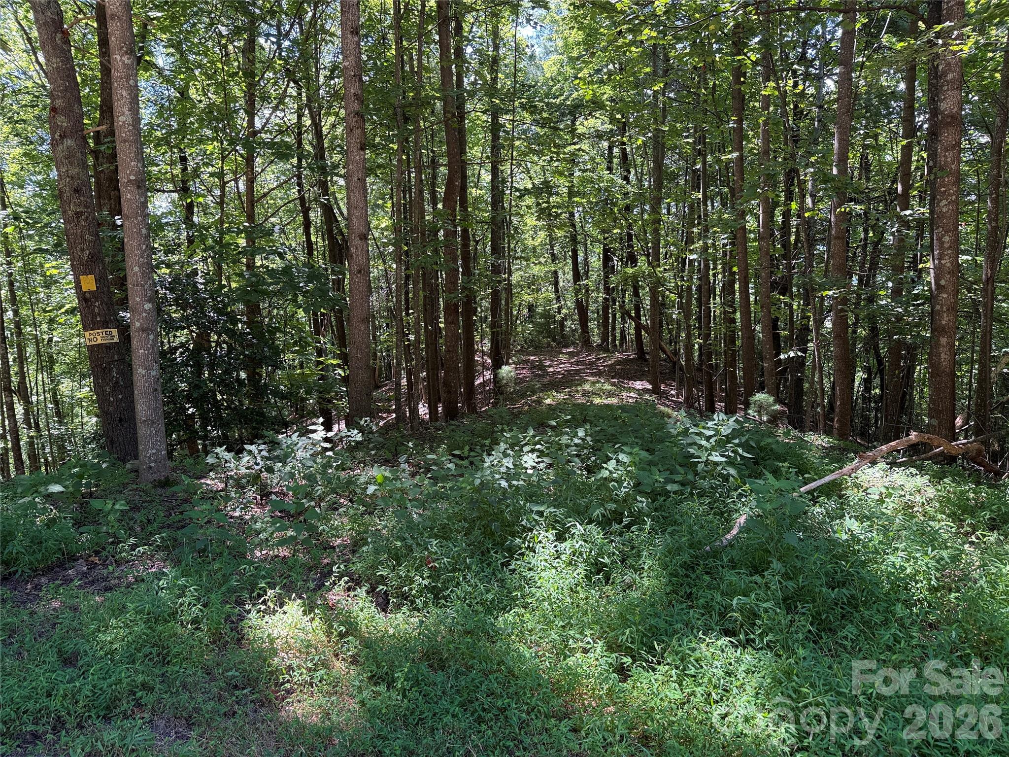 Tbd Hickory Holw Road, Unit 102 & 103 Purlear, NC 28665 - Photo 13 of 41