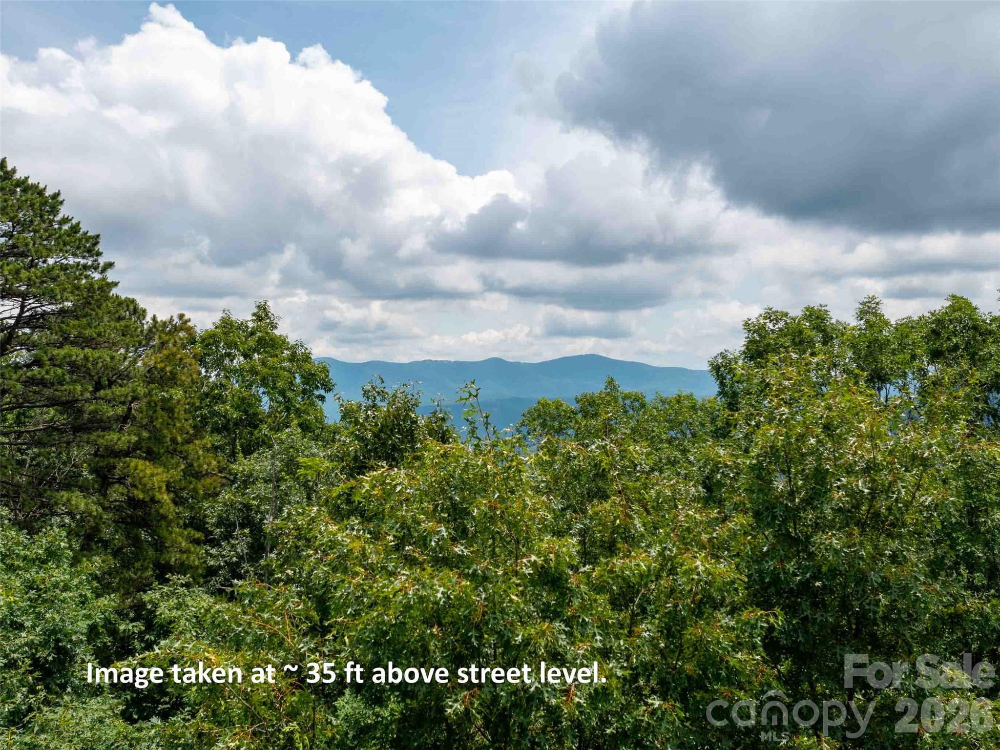 288 Eastman Place Mill Spring, NC 28756 - Photo 3 of 15 a view of a bunch of trees