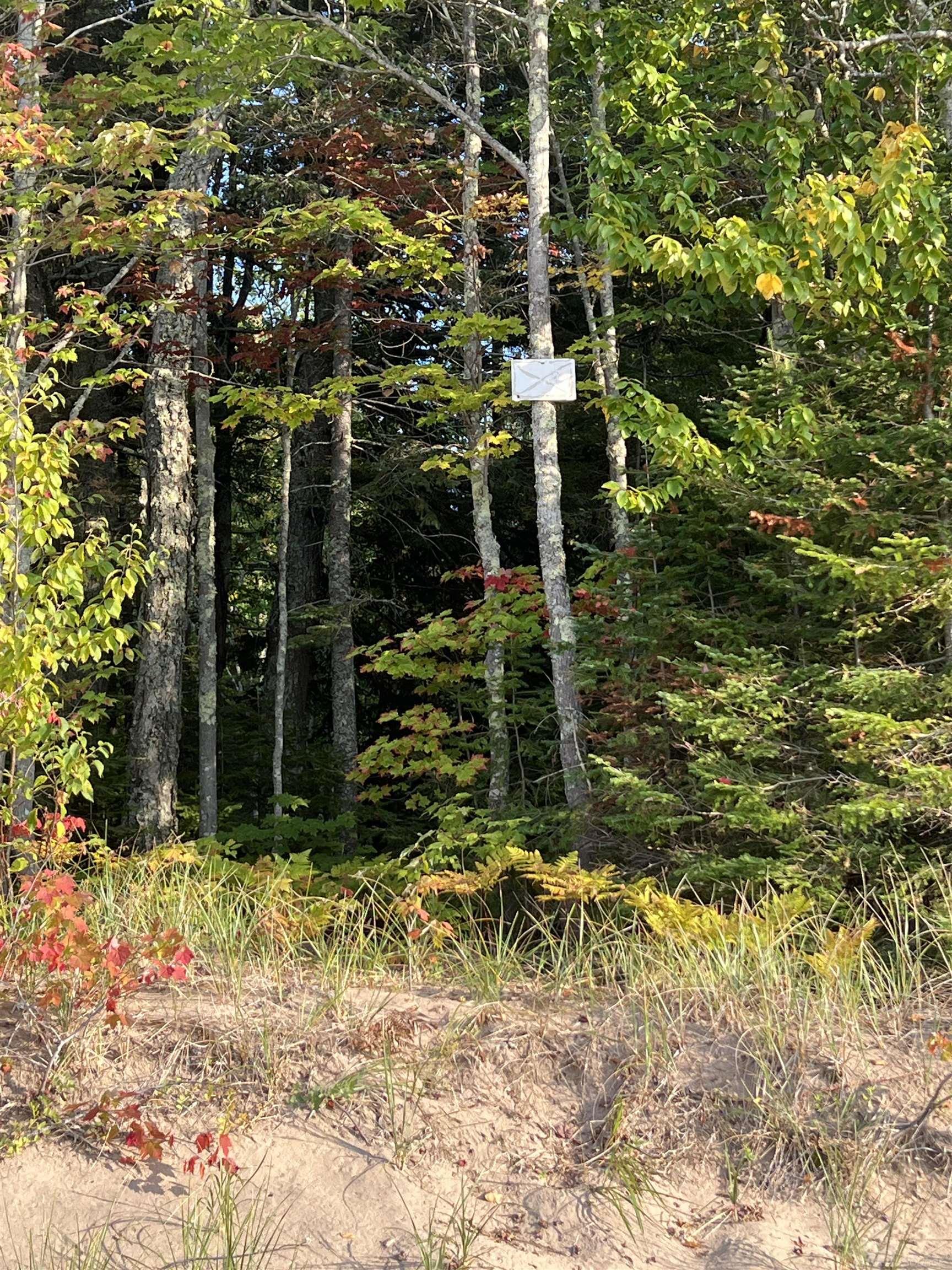 Xxx Xxx Tenmile Point Road Ontonagon, MI 49953 - Photo 10 of 13