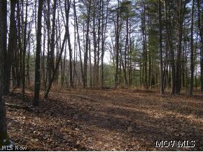 0 Park Road Cairo, WV 26337 - Photo 6 of 6