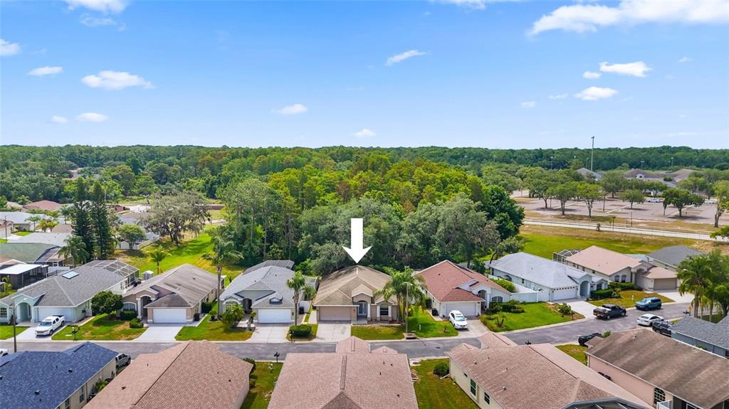 11654 Leda Lane New Port Richey, FL 34654 - Photo 36 of 37