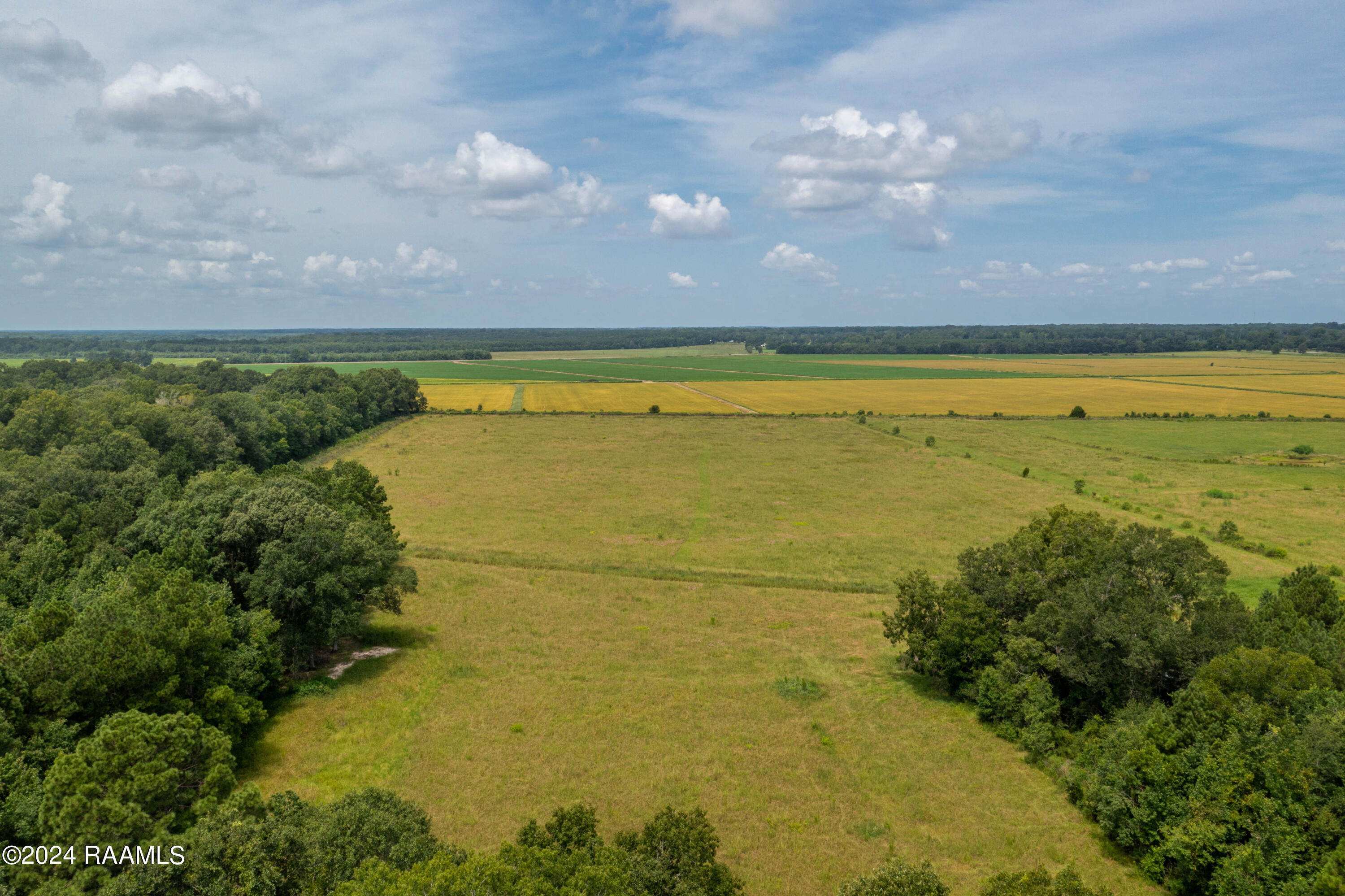 Old Park Rd Ville Ville Platte, LA 70586 - Photo 6 of 7 TBDOldPark-9