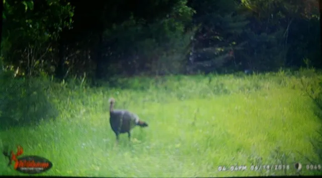 $122,000 | 170 Pine Road, Greenbush, ME 04418